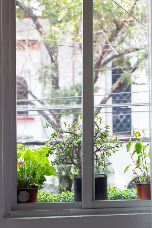 Apartment Condesa, Washer&Dryer, 160Mbs Wifi Mexico City Ngoại thất bức ảnh